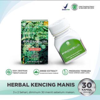 PROMELIN for Diabetes • 30 Capsules • PT Unique Herbamed Indonesia