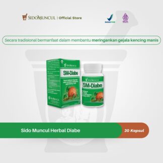 DIABE for Diabetes • 30 Capsules • Sido Muncul
