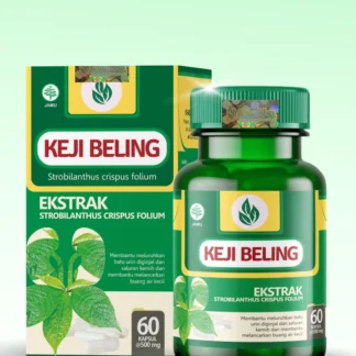 TAZAKKA •  Strobilanthes Crispa Capsules • Helps Dissolve Stones in Kidneys & Ureter • 60 Capsules